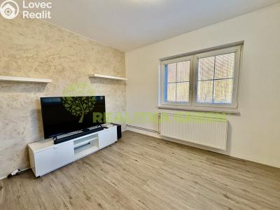 Pronájem bytu 2+1 Provodov č. 6