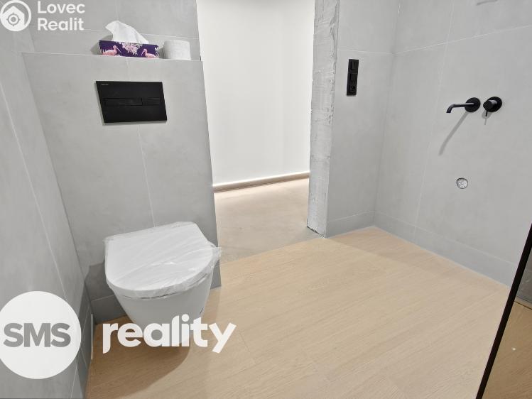 Продажа семейного дома Březí, Břízová 700 č. 17