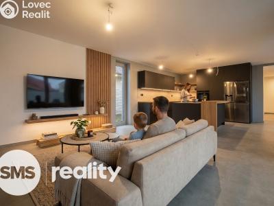 Prodej rodinného domu Březí, Břízová 700 č. 3