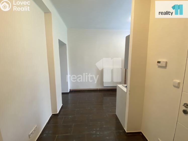 Pronájem bytu 1+1 Dobřany, Palackého č. 7