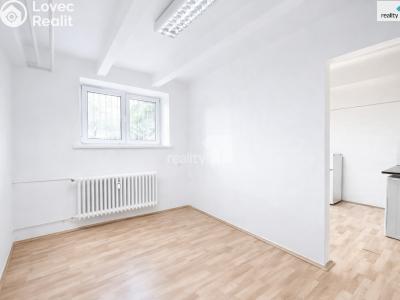 Продажа коммерческой недвижимости Praha 10, Gruzínská č. 1