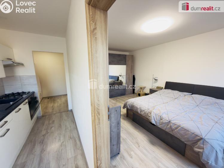 Pronájem bytu 2+1 Ústí nad Labem, Tolstého č. 3