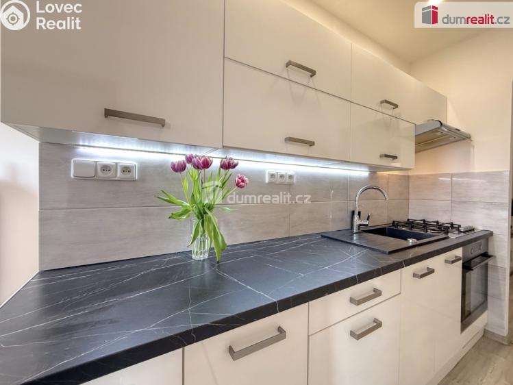 Rent apartment 2+1 Ústí nad Labem, Tolstého č. 22