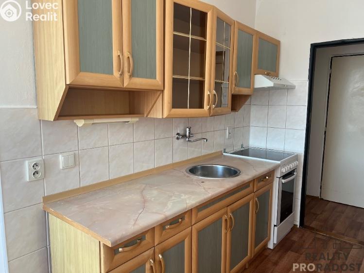 Pronájem bytu 2+1 Ústí nad Labem, U Pivovarské zahrady č. 4