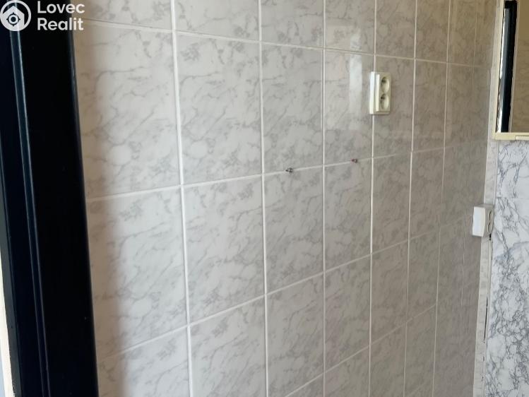 Pronájem bytu 2+1 Ústí nad Labem, U Pivovarské zahrady č. 14