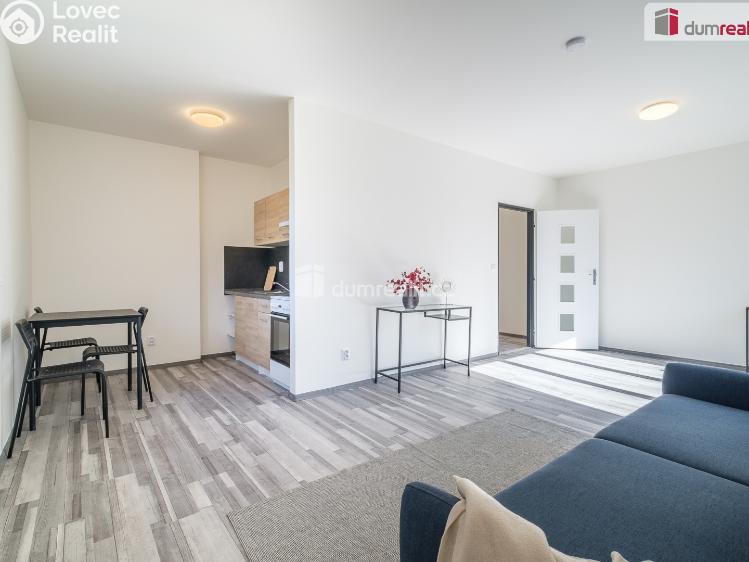 Pronájem bytu 1+KK Ústí nad Labem, Purkyňova č. 1