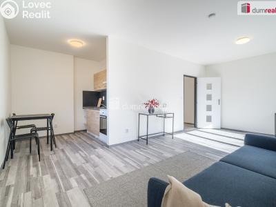 Pronájem bytu 1+KK Ústí nad Labem, Purkyňova č. 1