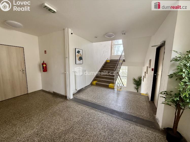 Pronájem bytu 2+KK Ústí nad Labem, Purkyňova č. 9