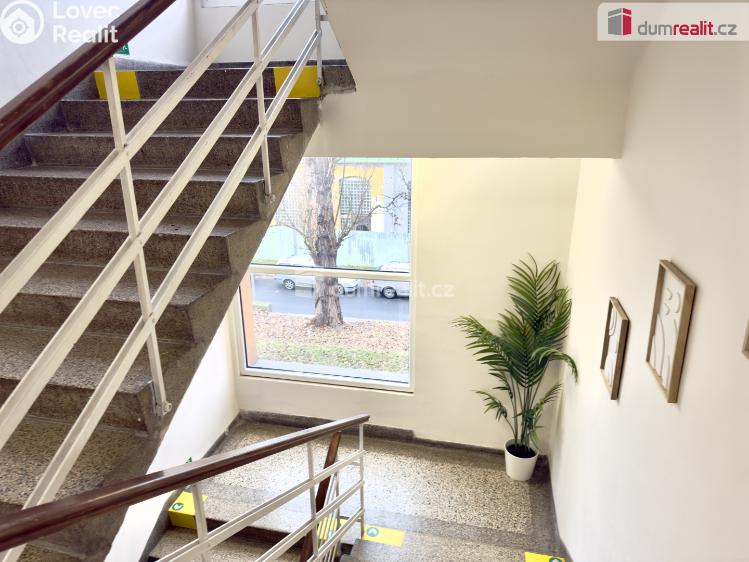 Pronájem bytu 2+1 Ústí nad Labem, Purkyňova č. 23