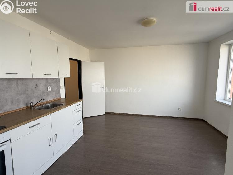 Pronájem bytu 2+1 Ústí nad Labem, Purkyňova č. 10