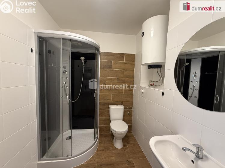 Pronájem bytu 2+1 Ústí nad Labem, Purkyňova č. 19