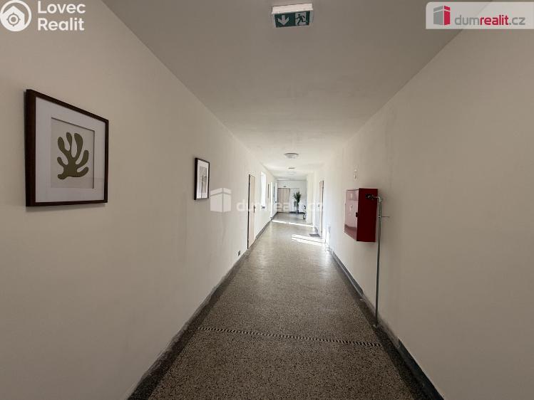 Rent apartment 2+1 Ústí nad Labem, Purkyňova č. 19