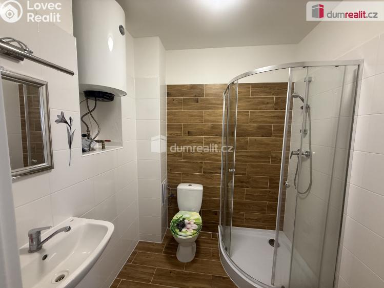 Rent apartment 2+1 Ústí nad Labem, Purkyňova č. 47