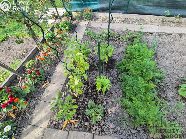 Продажа хижины Třinec č. 25