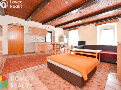 Pronájem bytu 1+KK Příbram, Plzeňská č. 1