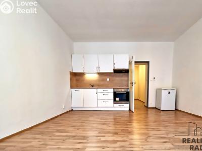 Оренда квартири 1+KK Brno, Vlhká č. 2