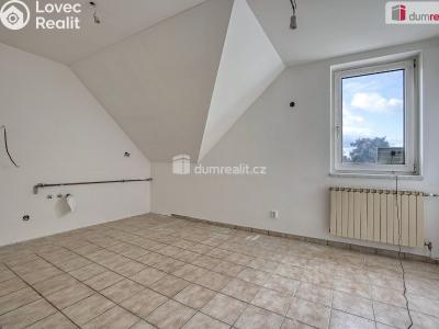 Prodej rodinného domu Neratovice, Mánesova č. 19