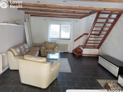 Rent family house Mšecké Žehrovice č. 4