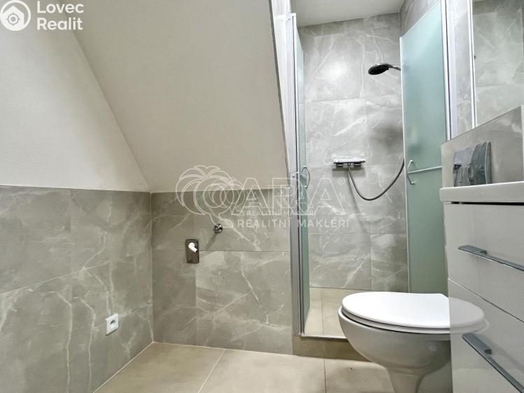 Pronájem bytu 1+1 Toužim č. 3