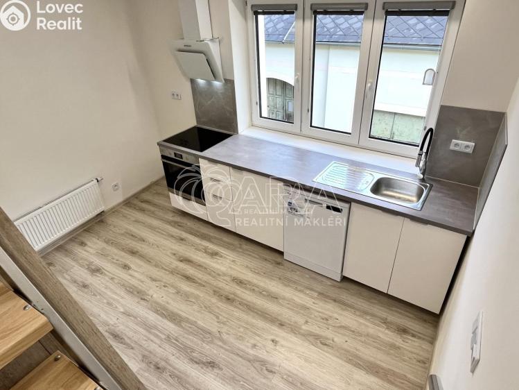 Pronájem bytu 1+1 Toužim č. 4