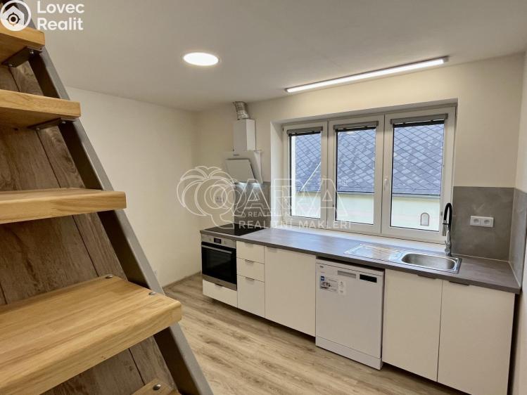 Pronájem bytu 1+1 Toužim č. 5