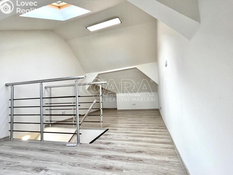 Pronájem bytu 1+1 Toužim č. 8