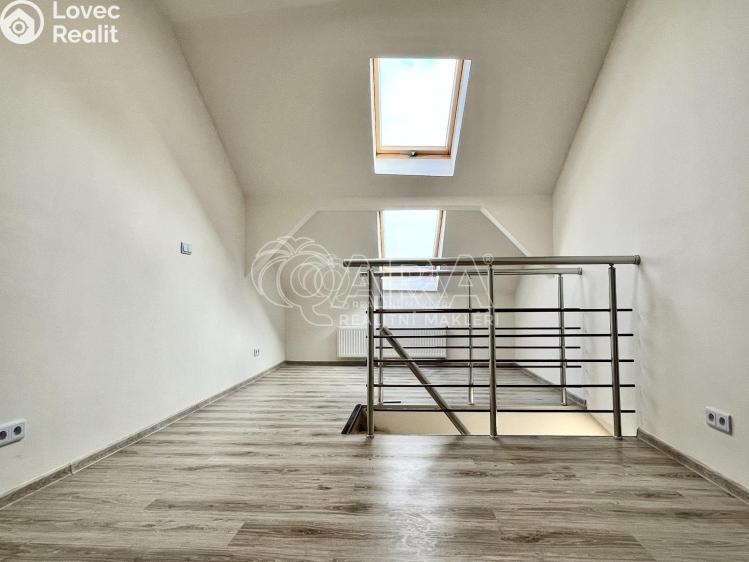 Pronájem bytu 1+1 Toužim č. 9