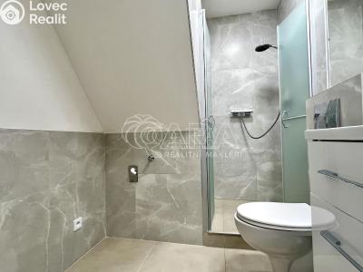 Pronájem bytu 1+1 Toužim č. 3