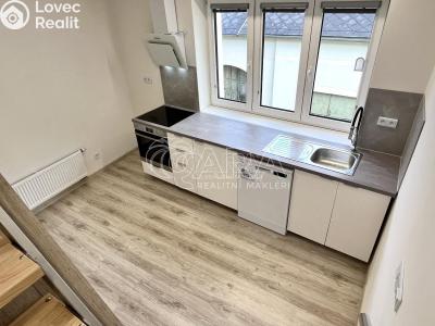 Pronájem bytu 1+1 Toužim č. 4