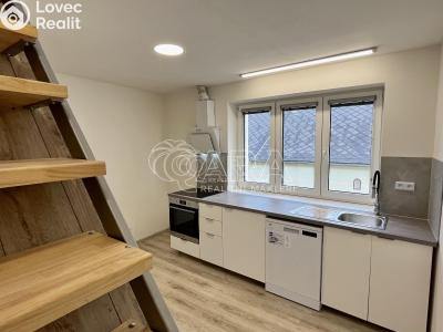 Pronájem bytu 1+1 Toužim č. 5