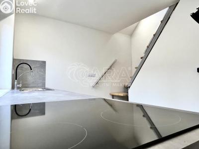 Pronájem bytu 1+1 Toužim č. 6