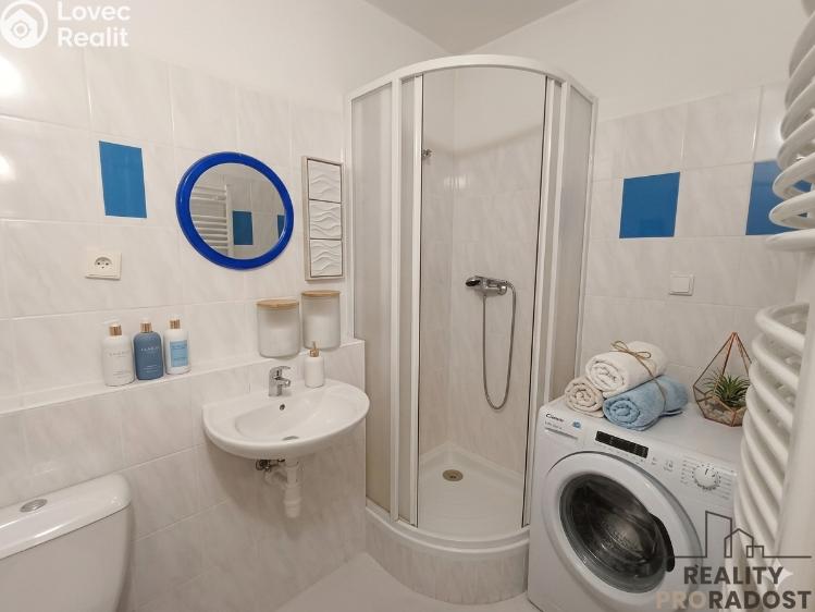 Pronájem bytu 1+1 České Budějovice, Klavíkova č. 5