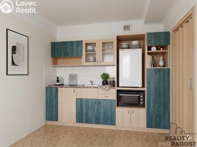 Pronájem bytu 1+1 České Budějovice, Klavíkova č. 3