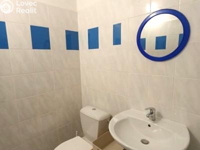 Pronájem bytu 1+1 České Budějovice, Klavíkova č. 6