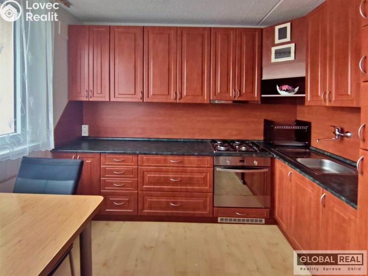 Pronájem bytu 1+1 Jihlava, Březinova č. 1