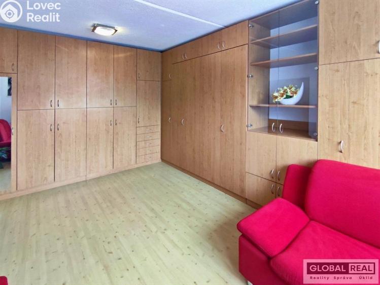 Pronájem bytu 1+1 Jihlava, Březinova č. 5