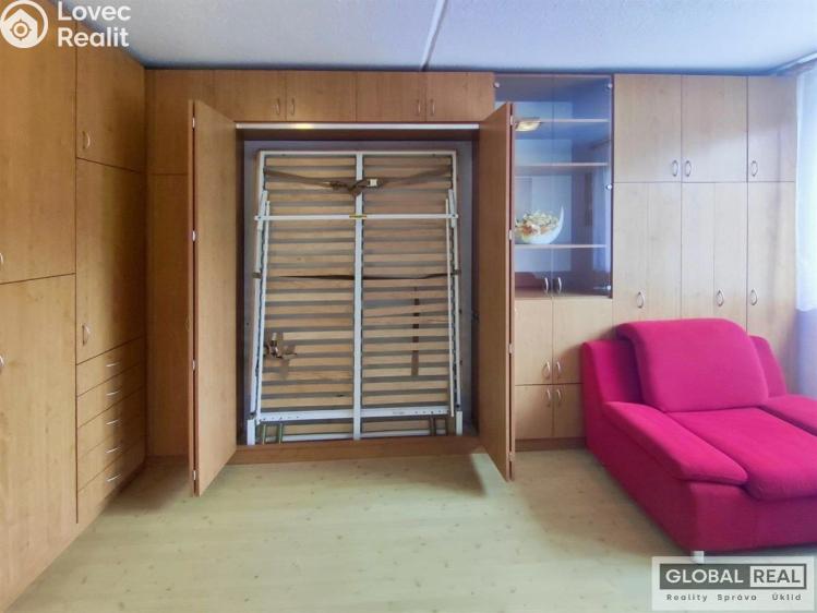 Pronájem bytu 1+1 Jihlava, Březinova č. 6