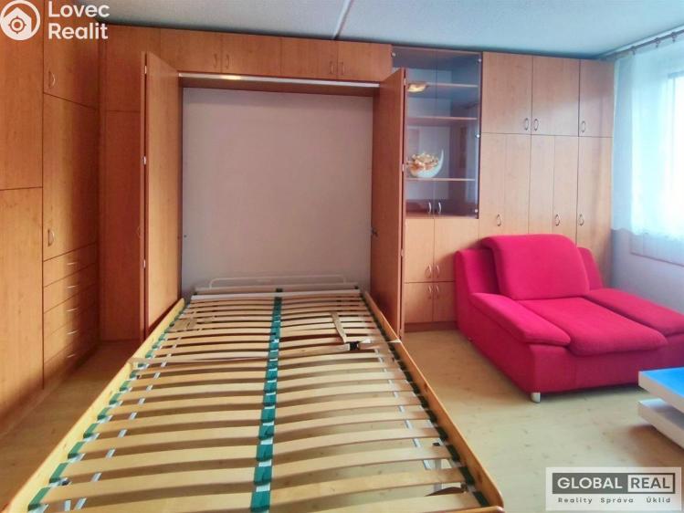 Pronájem bytu 1+1 Jihlava, Březinova č. 7