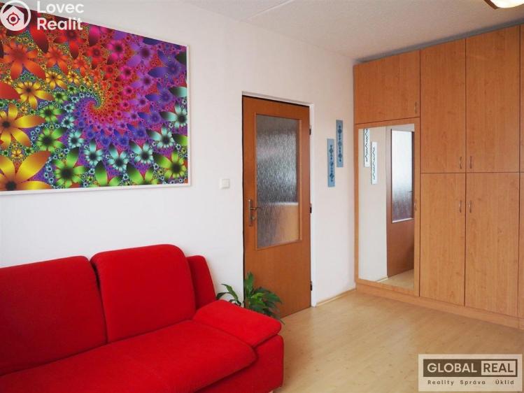 Pronájem bytu 1+1 Jihlava, Březinova č. 9