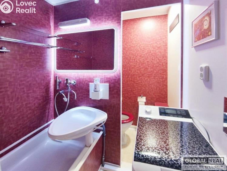 Pronájem bytu 1+1 Jihlava, Březinova č. 10