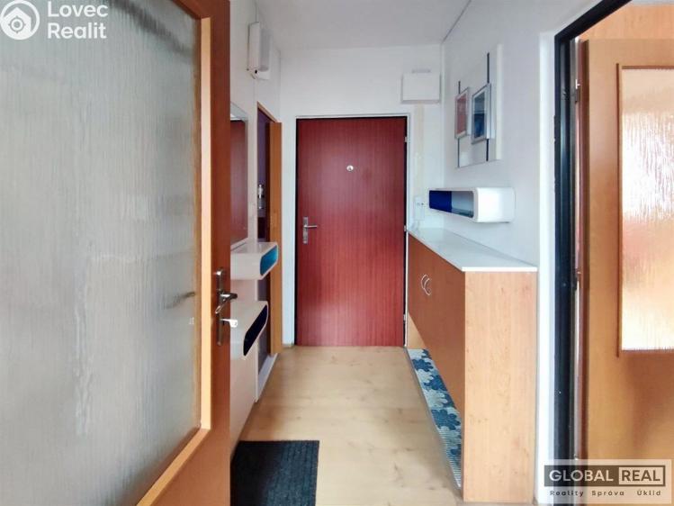 Pronájem bytu 1+1 Jihlava, Březinova č. 11