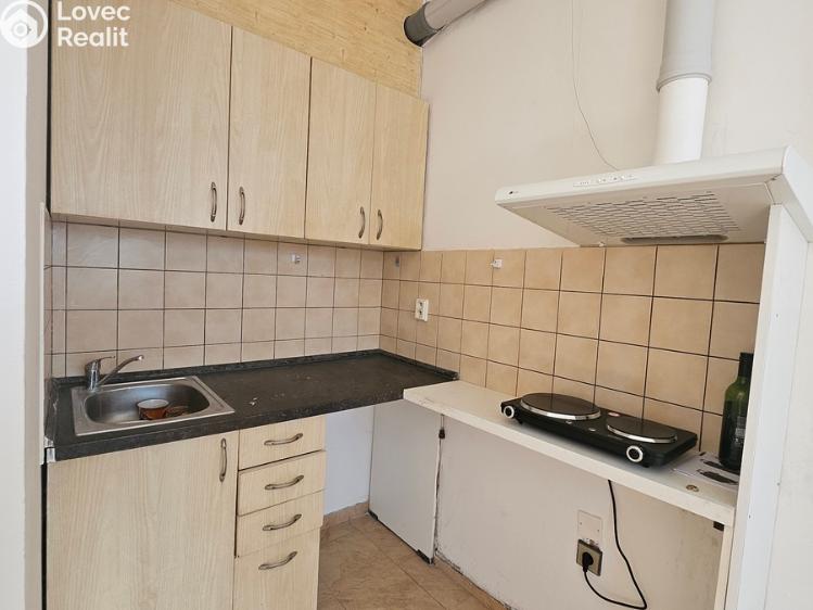 Rent apartment 1+KK Milovice č. 3