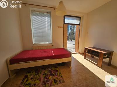 Pronájem bytu 1+KK Milovice č. 4