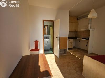 Rent apartment 1+KK Milovice č. 5
