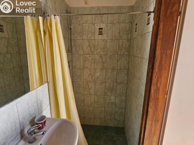 Rent apartment 1+KK Milovice č. 6