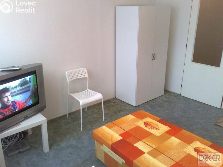 Pronájem pokoje Praha č. 13