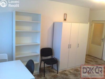 Pronájem pokoje Praha č. 6