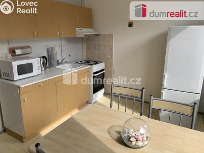 Pronájem bytu 1+1 Ústí nad Labem, Králova výšina č. 1