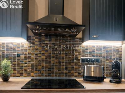 Аренда семейного дома Karlovy Vary, Mariánská č. 4