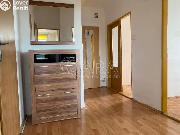 Pronájem bytu 3+1 Nový Jičín, Nerudova 270/18 č. 6